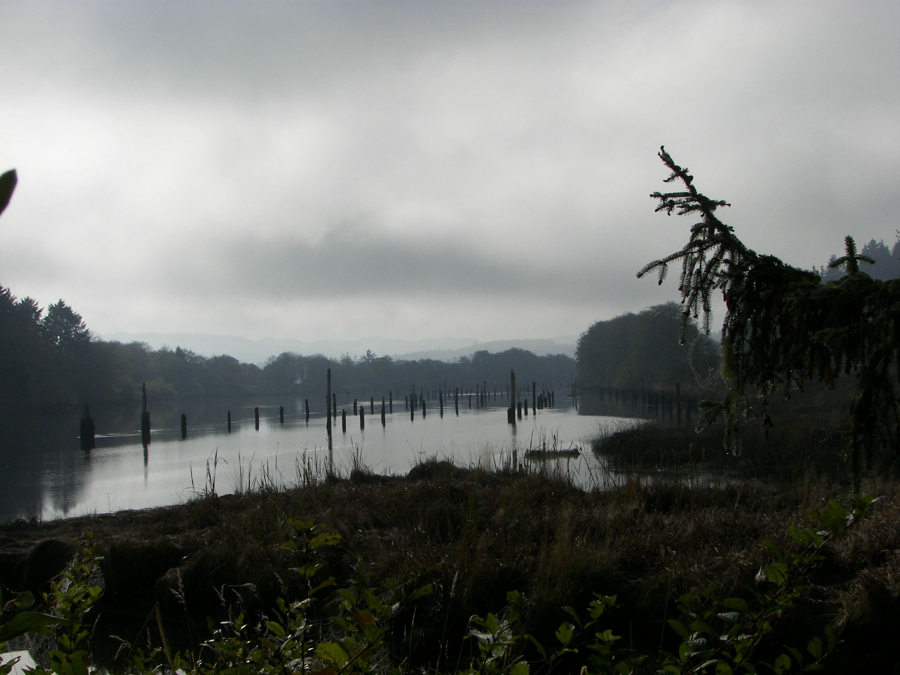 Views around Fort Clatsop